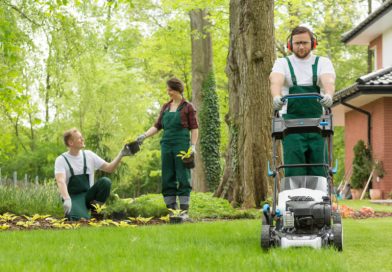 What Are The Advantages Of Hiring A Top Landscaping Company?
